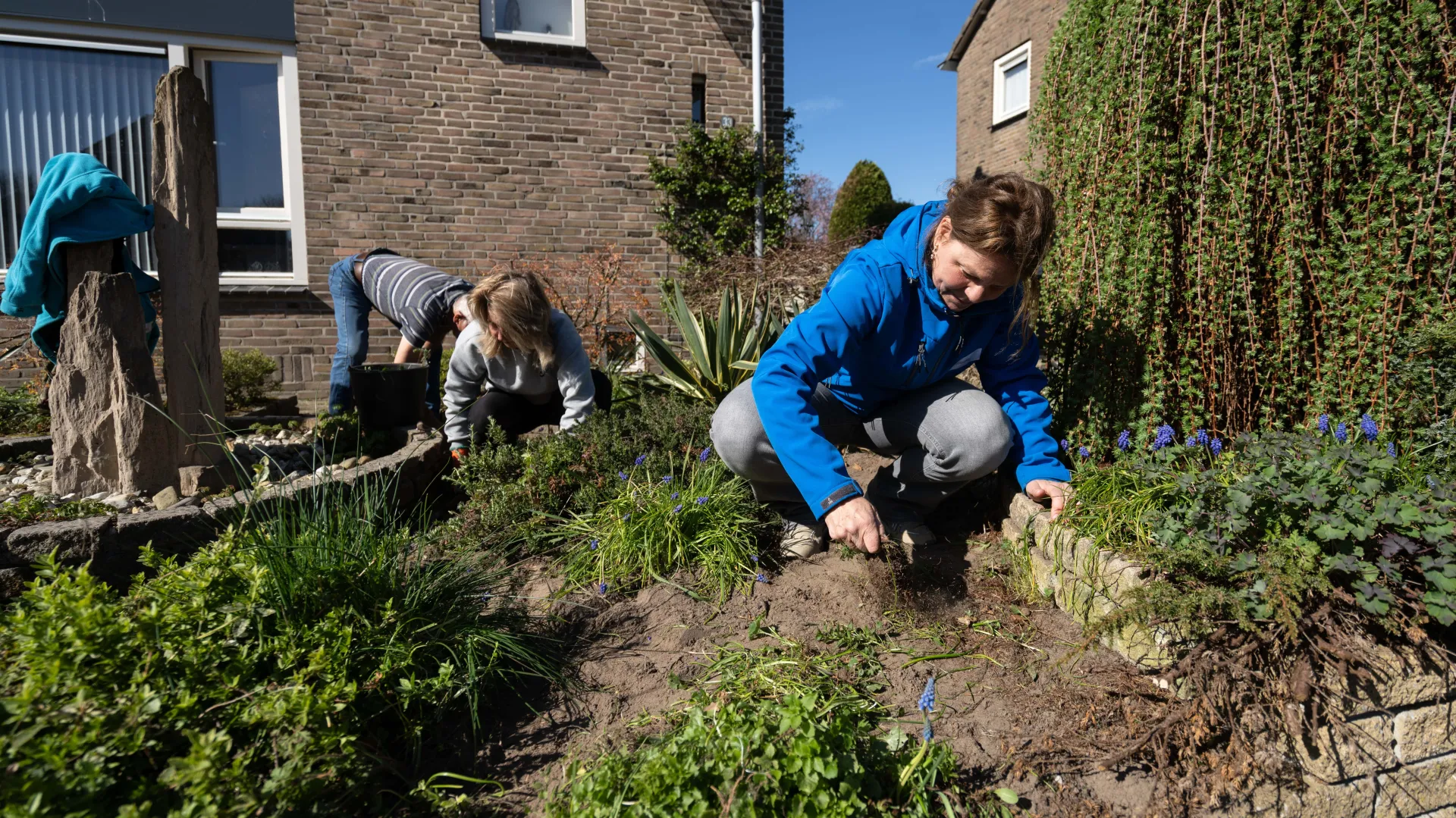 Mensen tuinieren in een zonnige tuin.